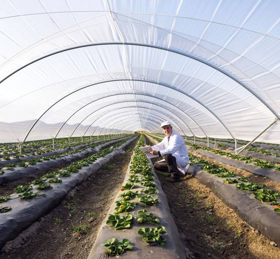 Agricultura y Ganaderia